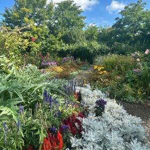 Send me your offers! 🩷